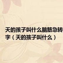 天的孩子叫什么脑筋急转弯两个字（天的孩子叫什么）