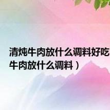 清炖牛肉放什么调料好吃(清炖牛肉放什么调料)