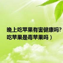 晚上吃苹果有害健康吗?(晚上吃苹果是毒苹果吗)