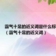 霸气十足的近义词是什么标准答案（霸气十足的近义词）