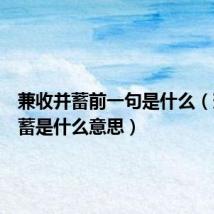 兼收并蓄前一句是什么(兼收并蓄是什么意思)