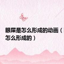 眼屎是怎么形成的动画（眼屎是怎么形成的）