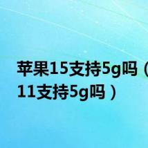 苹果15支持5g吗(苹果11支持5g吗)