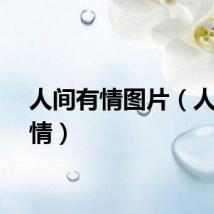 人间有情图片（人间有情）