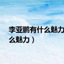李亚鹏有什么魅力（什么魅力）
