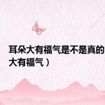 耳朵大有福气是不是真的(耳朵大有福气)