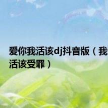 爱你我活该dj抖音版（我爱你我活该受罪）