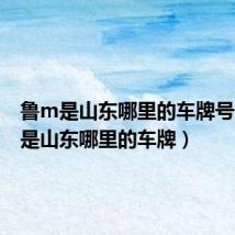 鲁m是山东哪里的车牌号（鲁m是山东哪里的车牌）
