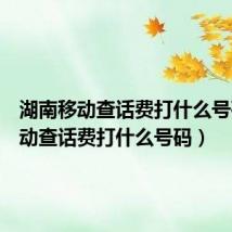 湖南移动查话费打什么号码(移动查话费打什么号码)
