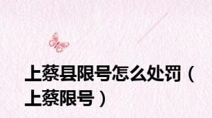 上蔡县限号怎么处罚（上蔡限号）