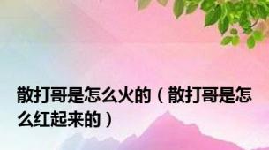 散打哥是怎么火的（散打哥是怎么红起来的）