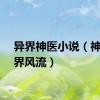 异界神医小说（神医异界风流）