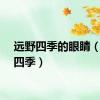 远野四季的眼睛（远野四季）