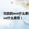 功放的aux什么意思（aux什么意思）