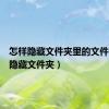 怎样隐藏文件夹里的文件（怎样隐藏文件夹）