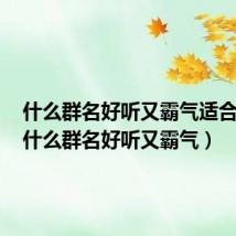 什么群名好听又霸气适合女性（什么群名好听又霸气）