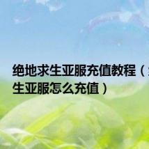 绝地求生亚服充值教程(绝地求生亚服怎么充值)