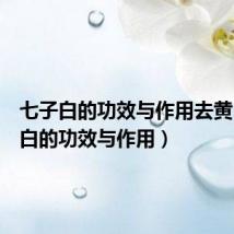 七子白的功效与作用去黄（七子白的功效与作用）