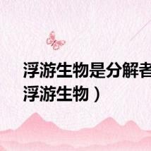 浮游生物是分解者吗（浮游生物）