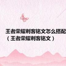 王者荣耀刺客铭文怎么搭配最厉害（王者荣耀刺客铭文）