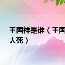 王国祥是谁（王国祥多大死）