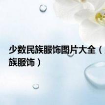 少数民族服饰图片大全(少数民族服饰)