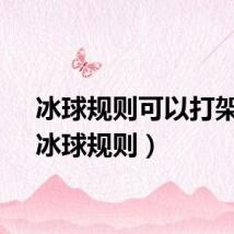 冰球规则可以打架吗（冰球规则）