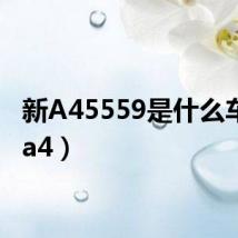 新A45559是什么车（新a4）