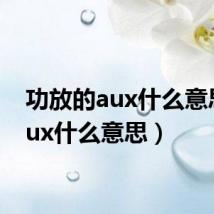 功放的aux什么意思(aux什么意思)