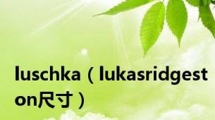 luschka（lukasridgeston尺寸）