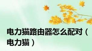 电力猫路由器怎么配对（电力猫）