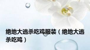 绝地大逃杀吃鸡服装（绝地大逃杀吃鸡）
