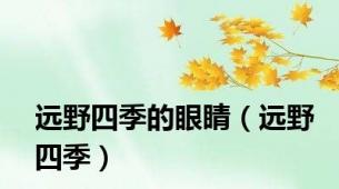 远野四季的眼睛（远野四季）