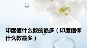 印度信什么教的最多（印度信仰什么教最多）