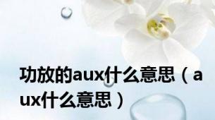 功放的aux什么意思（aux什么意思）