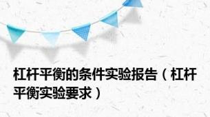 杠杆平衡的条件实验报告（杠杆平衡实验要求）