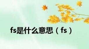 fs是什么意思（fs）