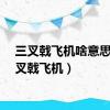 三叉戟飞机啥意思（三叉戟飞机）