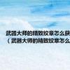 武器大师的精致纹章怎么获得视频（武器大师的精致纹章怎么获得）