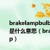 brakelampbulbfault是什么意思（brakelamp）