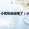 小熙和谁结婚了（小熙）