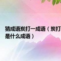 猜成语炭打一成语(炭打一成语是什么成语)