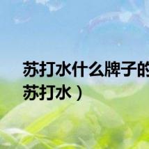 苏打水什么牌子的好（苏打水）