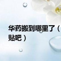 华药搬到哪里了（华药贴吧）