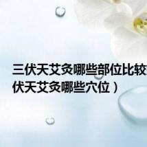 三伏天艾灸哪些部位比较好（三伏天艾灸哪些穴位）