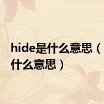 hide是什么意思（his是什么意思）