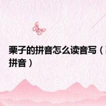 栗子的拼音怎么读音写（栗子的拼音）