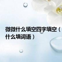微微什么填空四字填空（微微的什么填词语）