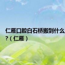 仁雁口腔白石桥搬到什么地方了?（仁雁）