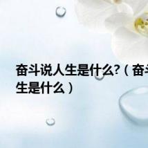 奋斗说人生是什么?（奋斗说人生是什么）